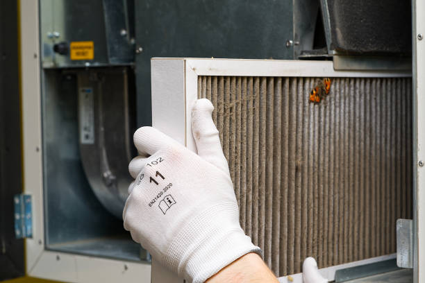 Best Affordable Duct Cleaning Services  in Rexland Acres, CA