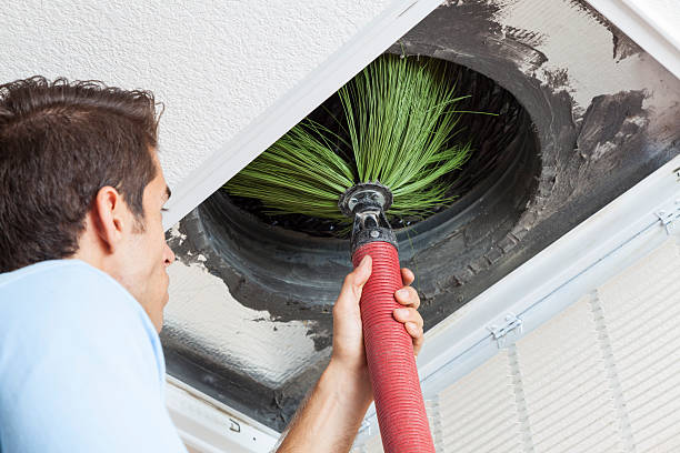 Best Local Air Duct Cleaning Services  in Rexland Acres, CA